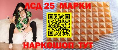 гидропоника Рязань