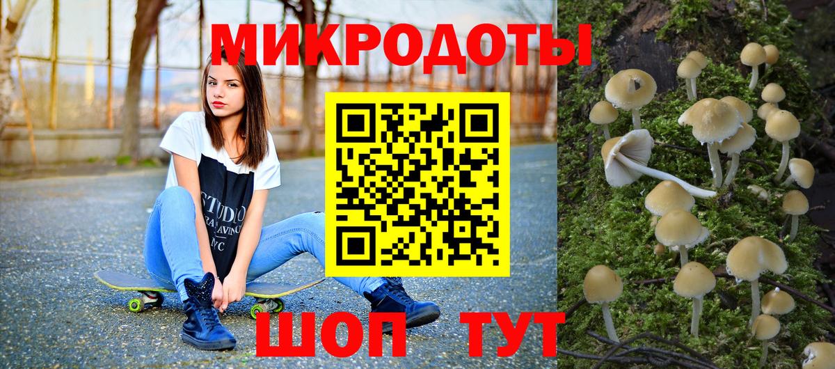 Галлюциногенные грибы мицелий Северск