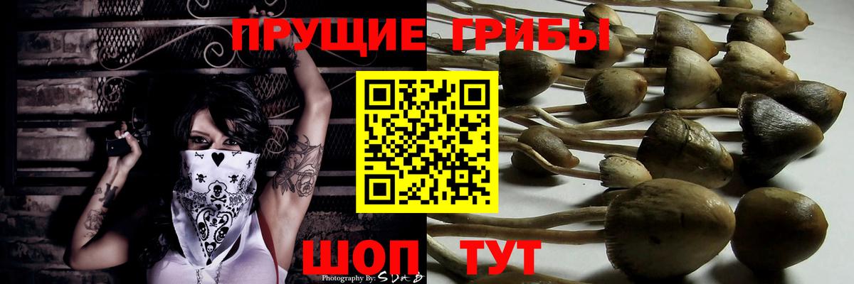 Псилоцибиновые грибы ЛСД  Галлюциногенные грибы прущие грибы  дарнет шоп  Северск  Вход с VPN 